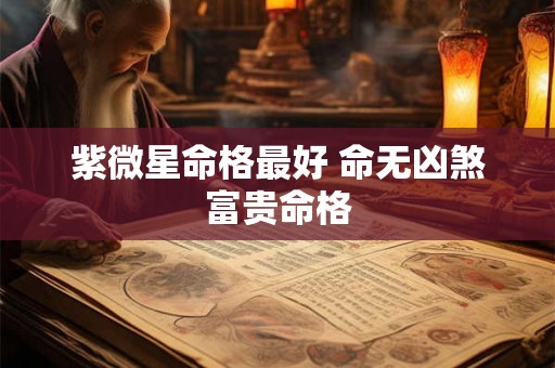 紫微星命格最好 命无凶煞富贵命格
