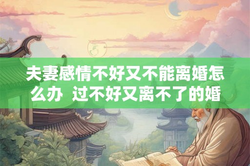 夫妻感情不好又不能离婚怎么办  过不好又离不了的婚姻该怎么办