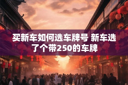 买新车如何选车牌号 新车选了个带250的车牌 买新车如何选车牌号 新车选了个带250的车牌