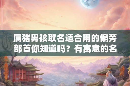 属猪男孩取名适合用的偏旁部首你知道吗？有寓意的名字推荐