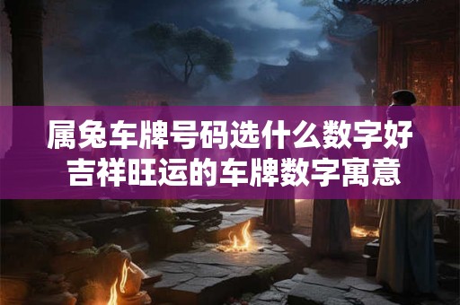 属兔车牌号码选什么数字好 吉祥旺运的车牌数字寓意