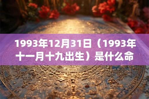 1993年12月31日（1993年十一月十九出生）是什么命_命运如何