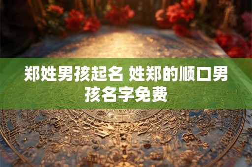郑姓男孩起名 姓郑的顺口男孩名字免费