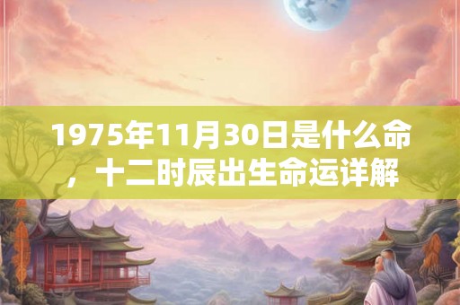 1975年11月30日是什么命，十二时辰出生命运详解