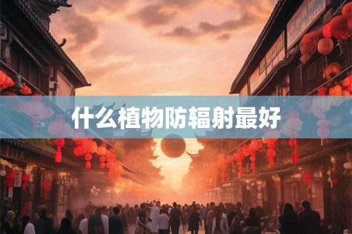什么植物防辐射最好