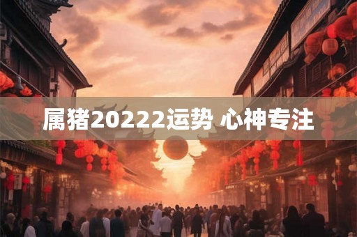 属猪20222运势 心神专注