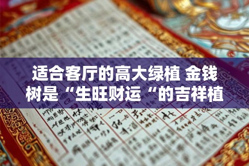 适合客厅的高大绿植 金钱树是“生旺财运“的吉祥植物