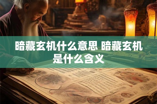 暗藏玄机什么意思 暗藏玄机是什么含义