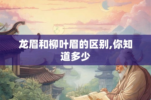 龙眉和柳叶眉的区别,你知道多少