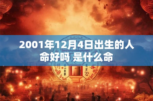 2001年12月4日出生的人命好吗 是什么命