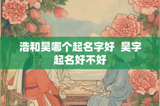 浩和昊哪个起名字好  昊字起名好不好