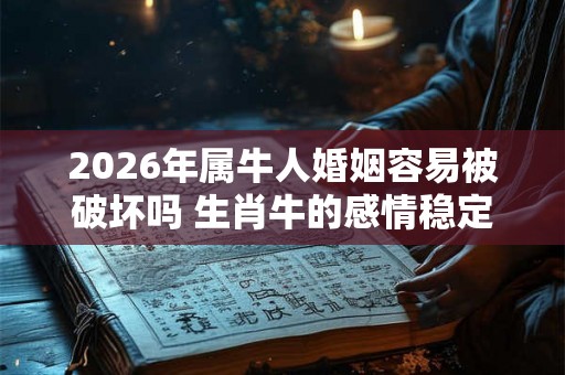 2026年属牛人婚姻容易被破坏吗 生肖牛的感情稳定吗