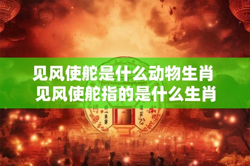 见风使舵是什么动物生肖 见风使舵指的是什么生肖 见风使舵是什么动物生肖 见风使舵指的是什么生肖