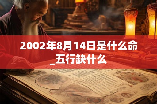 2002年8月14日是什么命_五行缺什么