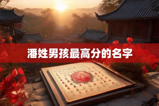 潘姓男孩最高分的名字
