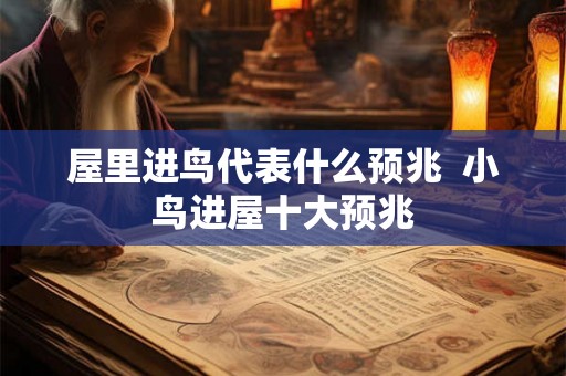 屋里进鸟代表什么预兆  小鸟进屋十大预兆