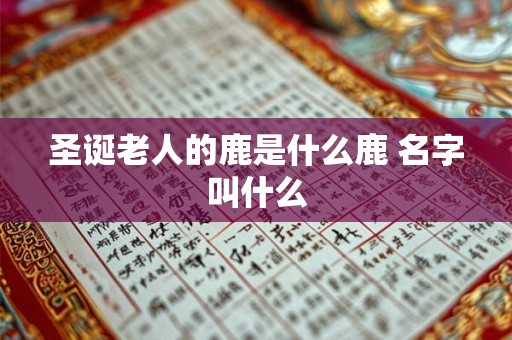 圣诞老人的鹿是什么鹿 名字叫什么