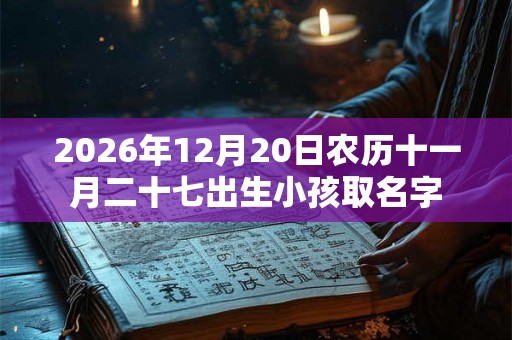 2026年12月20日农历十一月二十七出生小孩取名字