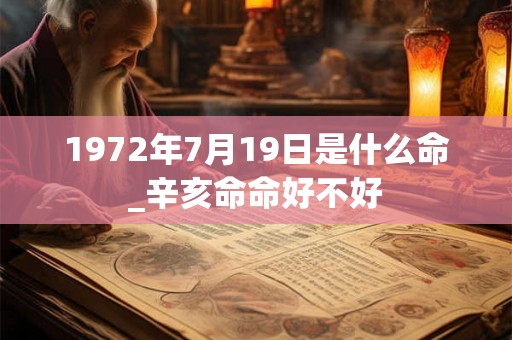 1972年7月19日是什么命_辛亥命命好不好