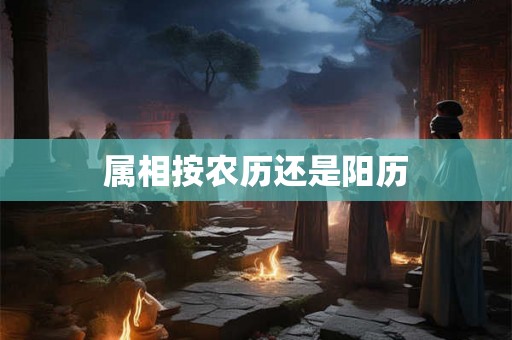 属相按农历还是阳历
