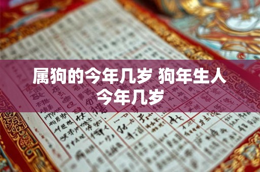 属狗的今年几岁 狗年生人今年几岁