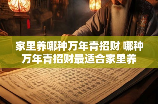 家里养哪种万年青招财 哪种万年青招财最适合家里养