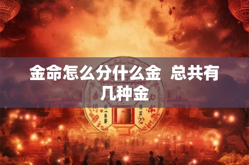 金命怎么分什么金  总共有几种金