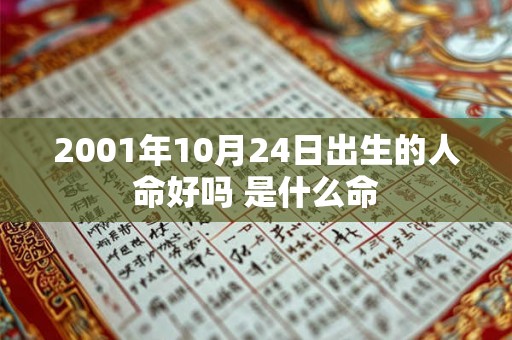 2001年10月24日出生的人命好吗 是什么命