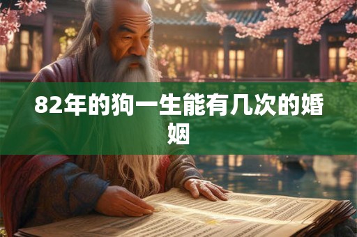 82年的狗一生能有几次的婚姻 82年的狗一生能有几次的婚姻