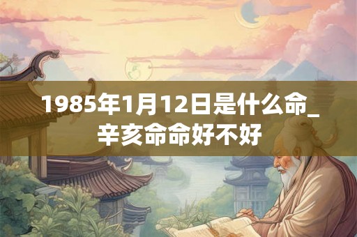 1985年1月12日是什么命_辛亥命命好不好