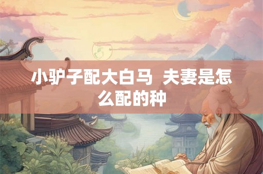 小驴子配大白马 夫妻是怎么配的种 小驴子配大白马 夫妻是怎么配的种
