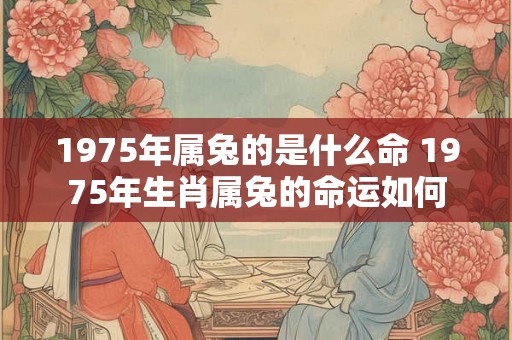 1975年属兔的是什么命 1975年生肖属兔的命运如何