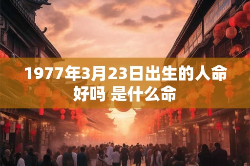 1977年3月23日出生的人命好吗 是什么命