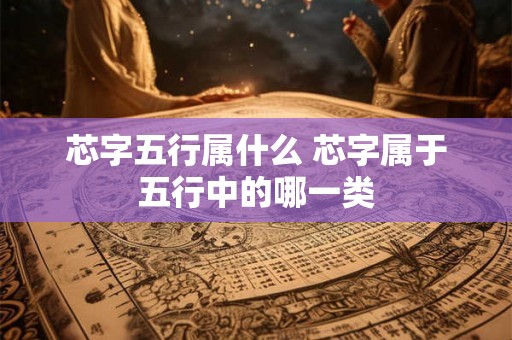 芯字五行属什么 芯字属于五行中的哪一类
