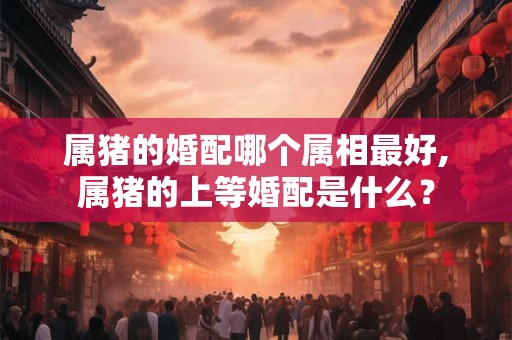属猪的婚配哪个属相最好,属猪的上等婚配是什么？