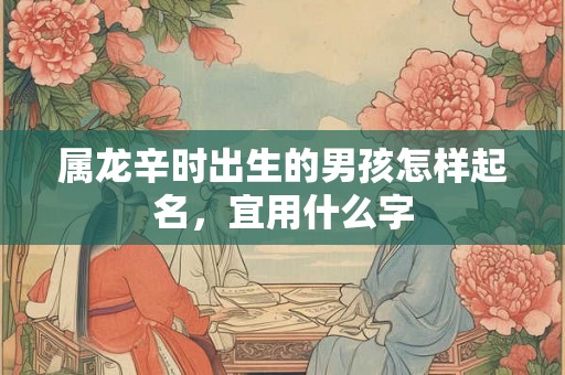 属龙辛时出生的男孩怎样起名,宜用什么字 属龙辛时出生的男孩怎样起名,宜用什么字