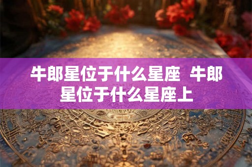 牛郎星位于什么星座 牛郎星位于什么星座上 牛郎星位于什么星座 牛郎星位于什么星座上