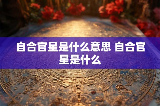 自合官星是什么意思 自合官星是什么