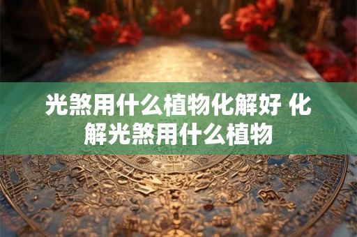 光煞用什么植物化解好 化解光煞用什么植物