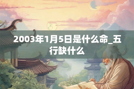 2003年1月5日是什么命_五行缺什么