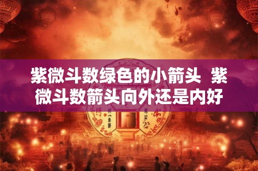 紫微斗数绿色的小箭头  紫微斗数箭头向外还是内好