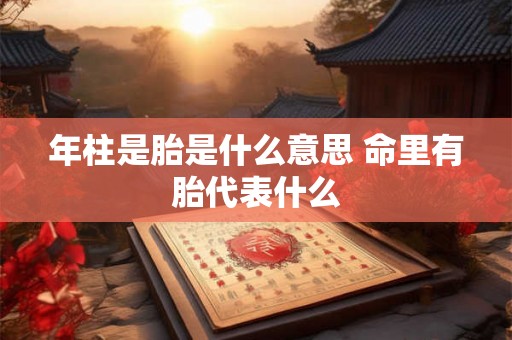 年柱是胎是什么意思 命里有胎代表什么