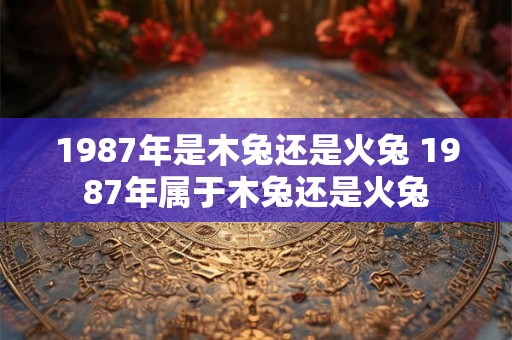 1987年是木兔还是火兔 1987年属于木兔还是火兔