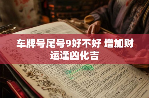 车牌号尾号9好不好 增加财运逢凶化吉