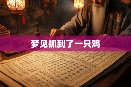梦见抓到了一只鸡