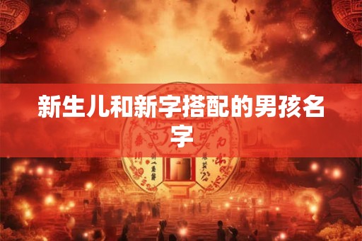 新生儿和新字搭配的男孩名字