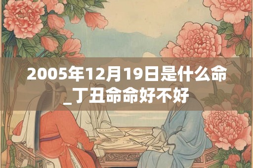 2005年12月19日是什么命_丁丑命命好不好