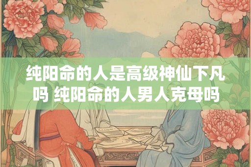 纯阳命的人是高级神仙下凡吗 纯阳命的人男人克母吗