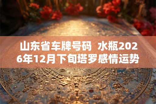 山东省车牌号码  水瓶2026年12月下旬塔罗感情运势