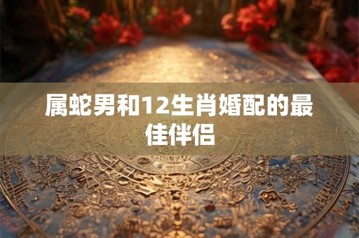属蛇男和12生肖婚配的最佳伴侣